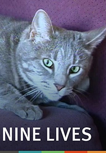 Nine Lives (The Eternal Moment of Now) (Nine Lives (The Eternal Moment of Now))