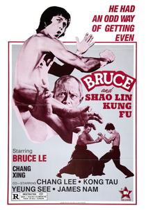 Bruce and Shaolin Kung Fu (Da mo tie zhi gong )