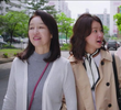 5회