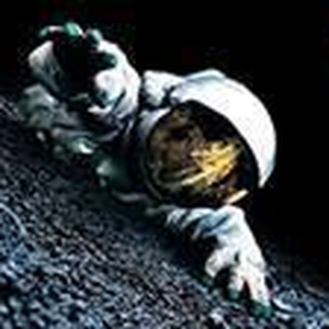 Foto de perfil de Nikolas