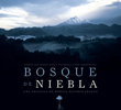 Bosque de Névoa