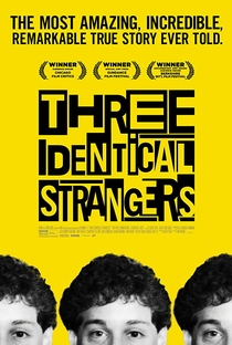 Três Estranhos Idênticos - Poster / Capa / Cartaz - Oficial 1