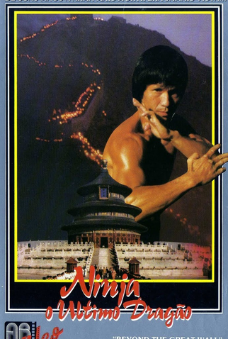 Poster 2 de Filme Ninja: O Último Dragão (1987)