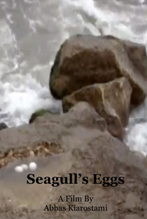 Seagull’s Eggs - Poster / Capa / Cartaz - Oficial 1