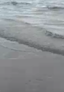 Mais um Domingo (Mais um Domingo)