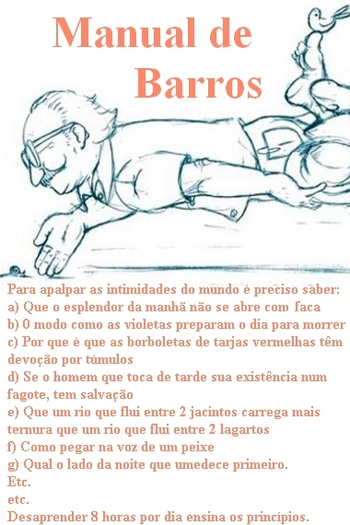 Poster de Filme Manual de Barros (2006)