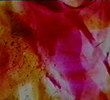 Prelude 4