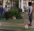Welcome to the Rooster