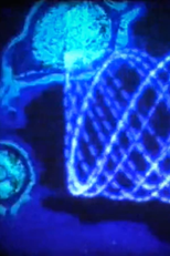 Orbiting the Atom (Orbiting the Atom)