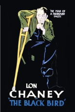 O Falcão Negro (The Black Bird)