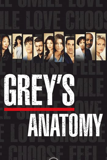  de Série A Anatomia de Grey (3ª Temporada) (2006)