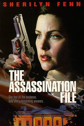 Poster de Filme Rede de Traições (1996)