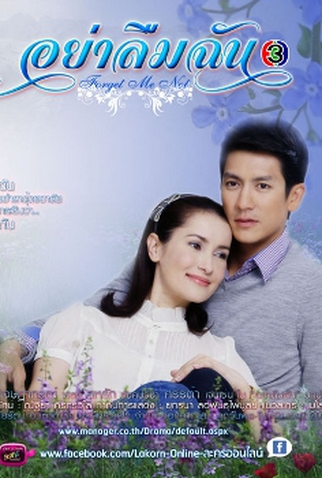 Poster 9 de Série Forget Me Not  (2014)