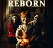 Robert Reborn