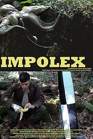 Poster 2 de Filme Impolex (2009)