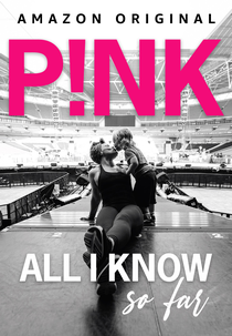 Pink (8 de Setembro de 1979), Artista
