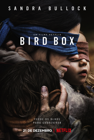 Poster 1 de Filme Bird Box (2018)