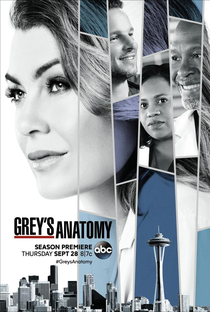 A Anatomia de Grey (14ª Temporada) - Poster / Capa / Cartaz - Oficial 1