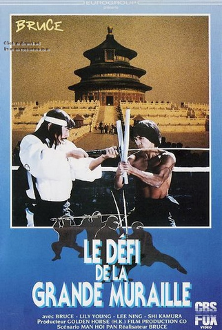 Poster 3 de Filme Ninja: O Último Dragão (1987)
