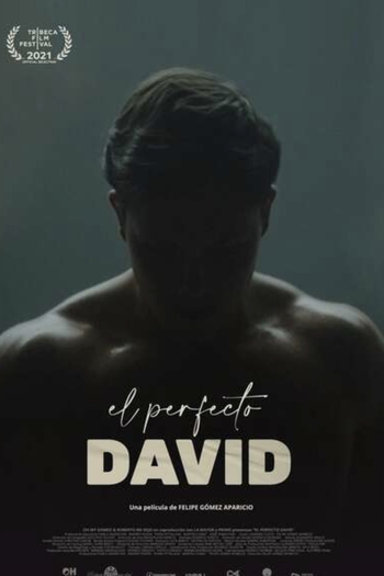 Poster de Filme O Perfeito David (2021)