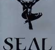 Seal: Videos 1991-2004