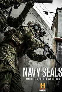 Seals: Força de Combate - Poster / Capa / Cartaz - Oficial 2