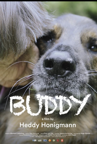 Poster 1 de Filme Buddy (2018)