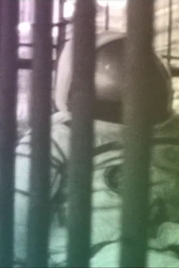 Poster de Curta Na Boa Terra (2011)