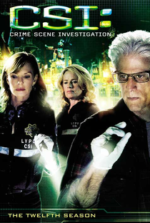 CSI: Investigação Criminal (12ª Temporada) - Poster / Capa / Cartaz - Oficial 1