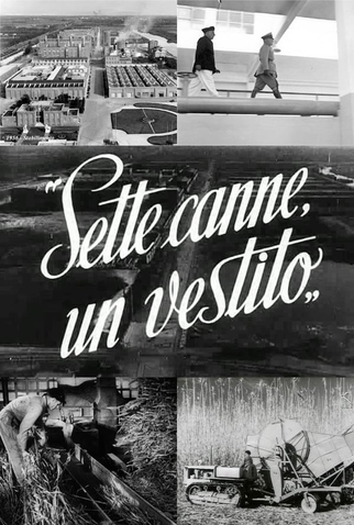 Poster 2 de Curta Sete Juncos, um Vestido (1949)