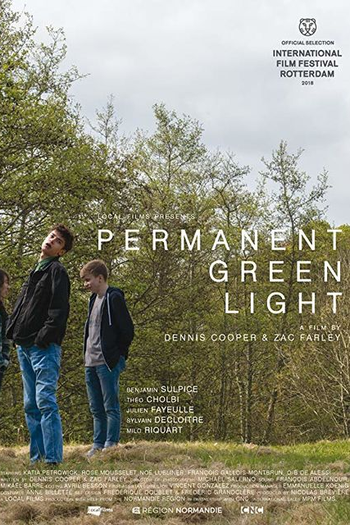 Poster de Filme Permanent Green Light (2018)