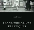 Transformations élastiques
