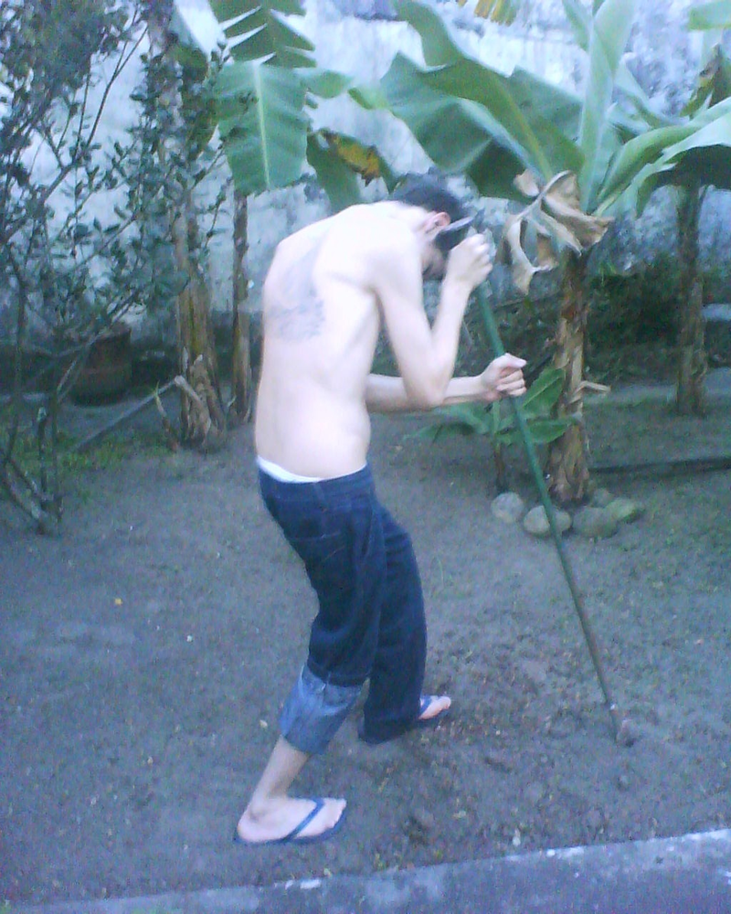 Leonardo - Foto 4