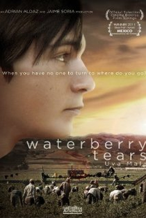 Waterberry Tears - Poster / Capa / Cartaz - Oficial 1