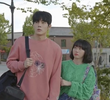 8회