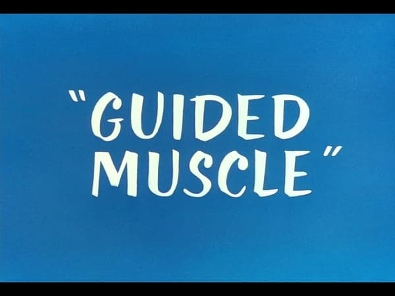 Foto 8 de Coyote com Pena