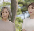 2회