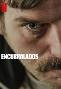 Encurralados (Boğa Boğa)