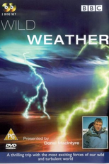 Clima Selvagem (Wild Weather )