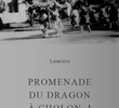 Promenade du dragon à Cholon