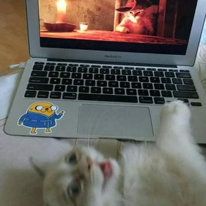 Foto de perfil de Débora