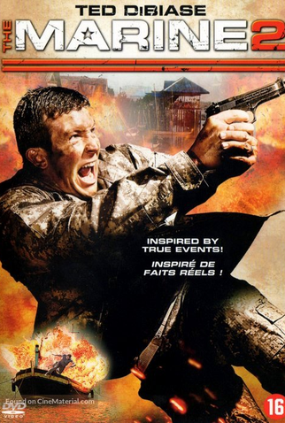 Poster 3 de Filme Busca Explosiva 2 (2009)