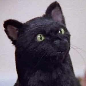 Foto de perfil de Mimi Salem