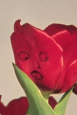 13 Essential Rules for Understanding the World (13 Essential Rules for Understanding the World)