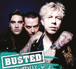 Busted: Pigs Can Fly Tour