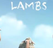 Lambs