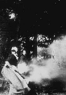 Mauvaises herbes (Mauvaises herbes)