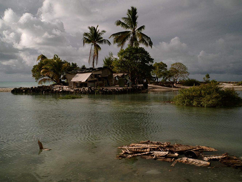 Foto 6 de Anote's Ark