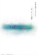 3.11 A Sense of Home Films