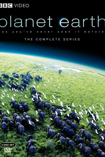 Planeta Terra (1ª Temporada) - Poster / Capa / Cartaz - Oficial 1